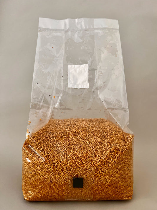 Grain Spawn Substrate